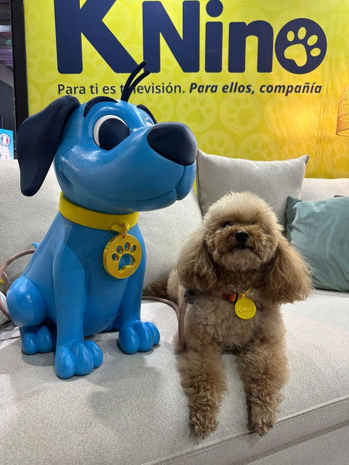 Acompañamos a KNino en la Expo Mascotas 2026