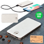 Power Bank Mayer