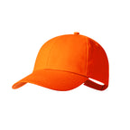 Gorra Haliard
