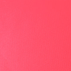 Camiseta Mujer Cocker