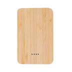 Power Bank Newin