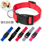 Collar Mastif