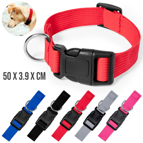 Collar Mastif