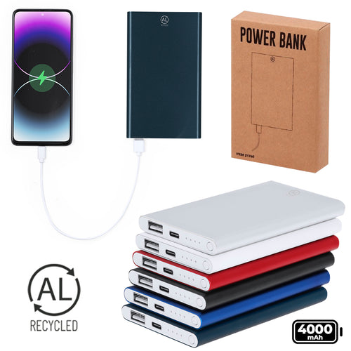 Power Bank Backen