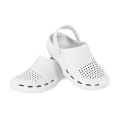 Zueco Frank