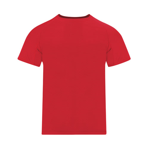 Camiseta Niño Cocker